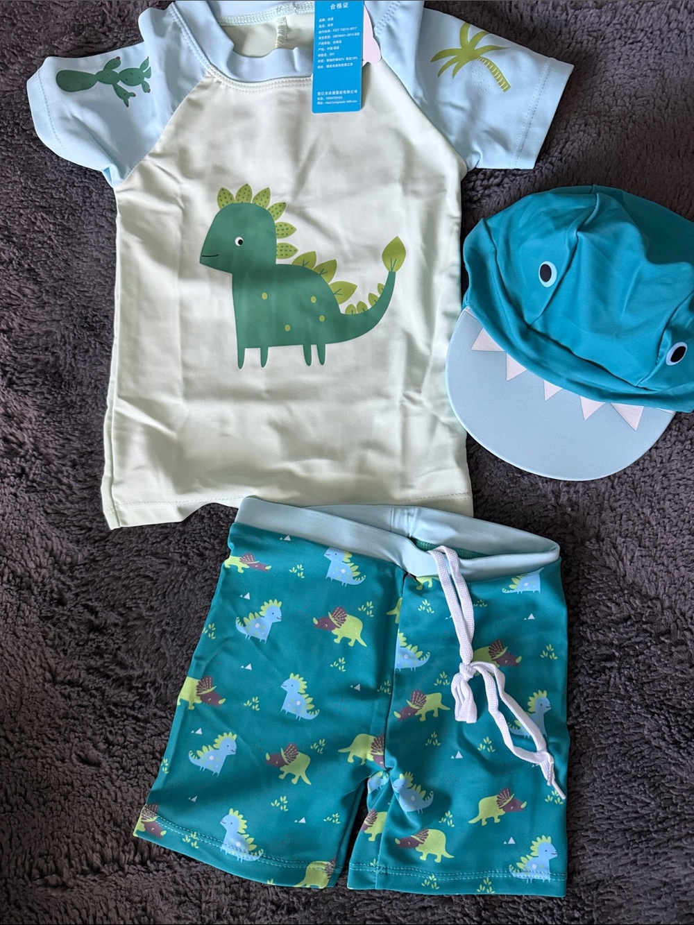 Dinosaur Rash Guard Set with Matching Shorts & Shark Cap - Teal & Cream